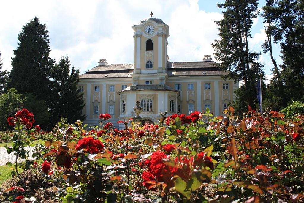 Schlosshotel Rosenau Superior Schloss Rosenau Buitenkant foto